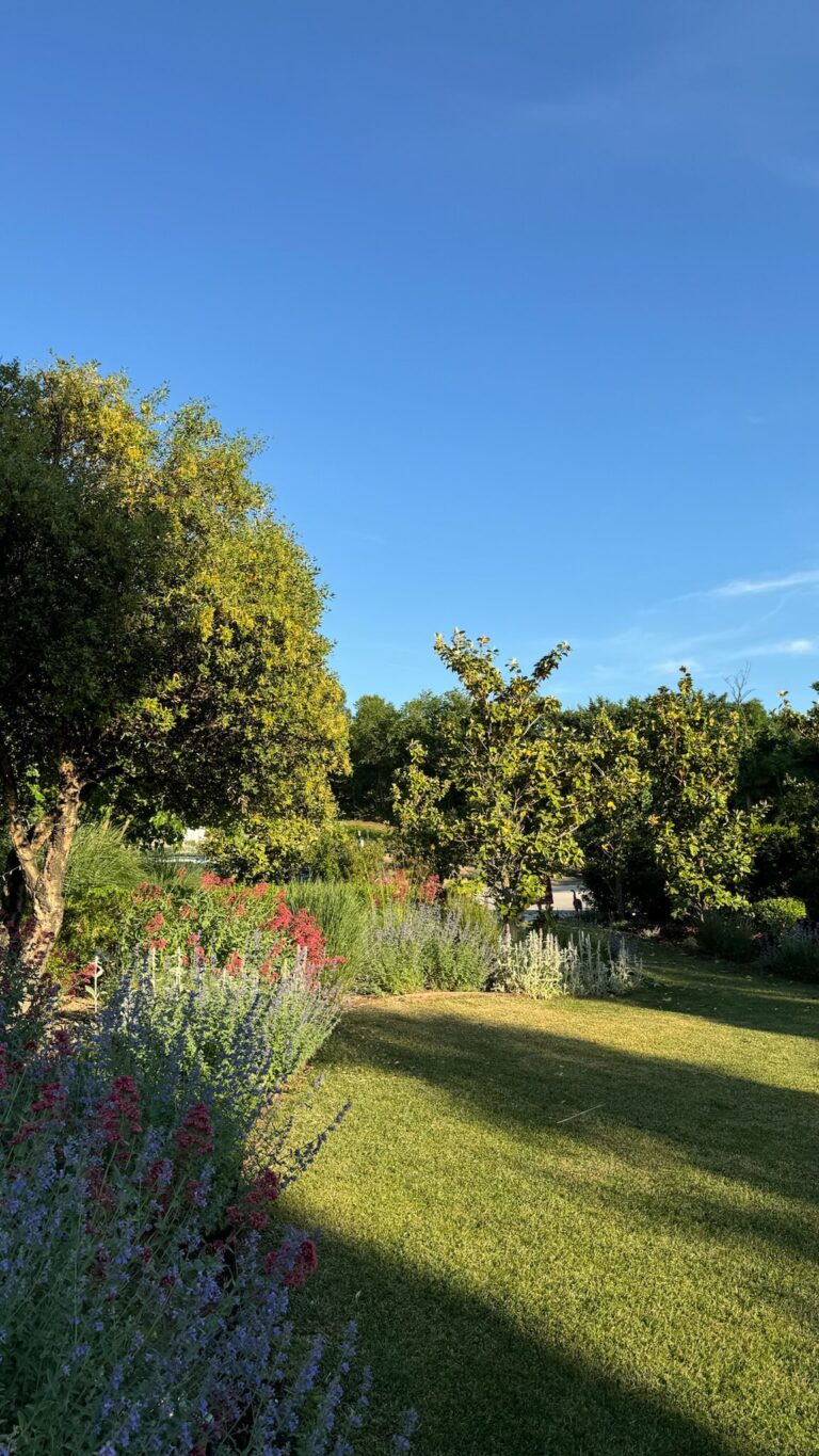 Los jardines de Finca Astilbe son un auténtico refugio natural a escasos minutos de Madrid. Un entorno único y lleno de encanto, ideal para celebrar todo tipo de eventos y crear momentos inolvidables.
#eneldocatering #fincaastilbebyeneldo #lasallebyeneldo #grupoeneldo
#eventos2026