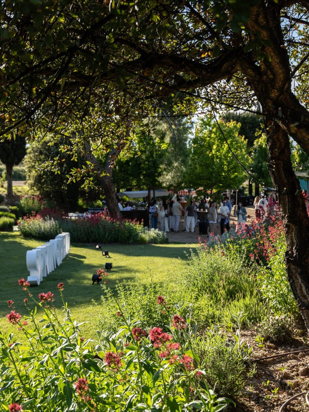 Espectacular evento de @springfieldofficial en los jardines de Finca Astilbe. Lleno de color, flores, un súper ambiente y los mejores invitados. Porque en Grupo Eneldo nos aseguramos de resaltar la marca y el producto de nuestros clientes con un servicio impecable. Gracias por confiar en nosotros.

#eneldocatering #fincaastilbebyeneldo #lasallebyeneldo #grupoeneldo #venues #eventos2025 #eventossociales #eventocorporativo #eventosmadrid #venuesmadrid #venues #eventosexclusivos #cateringmadrid #gastronomiaespañola #bodas #lifestyle #beautyandlifestyle #placetobe