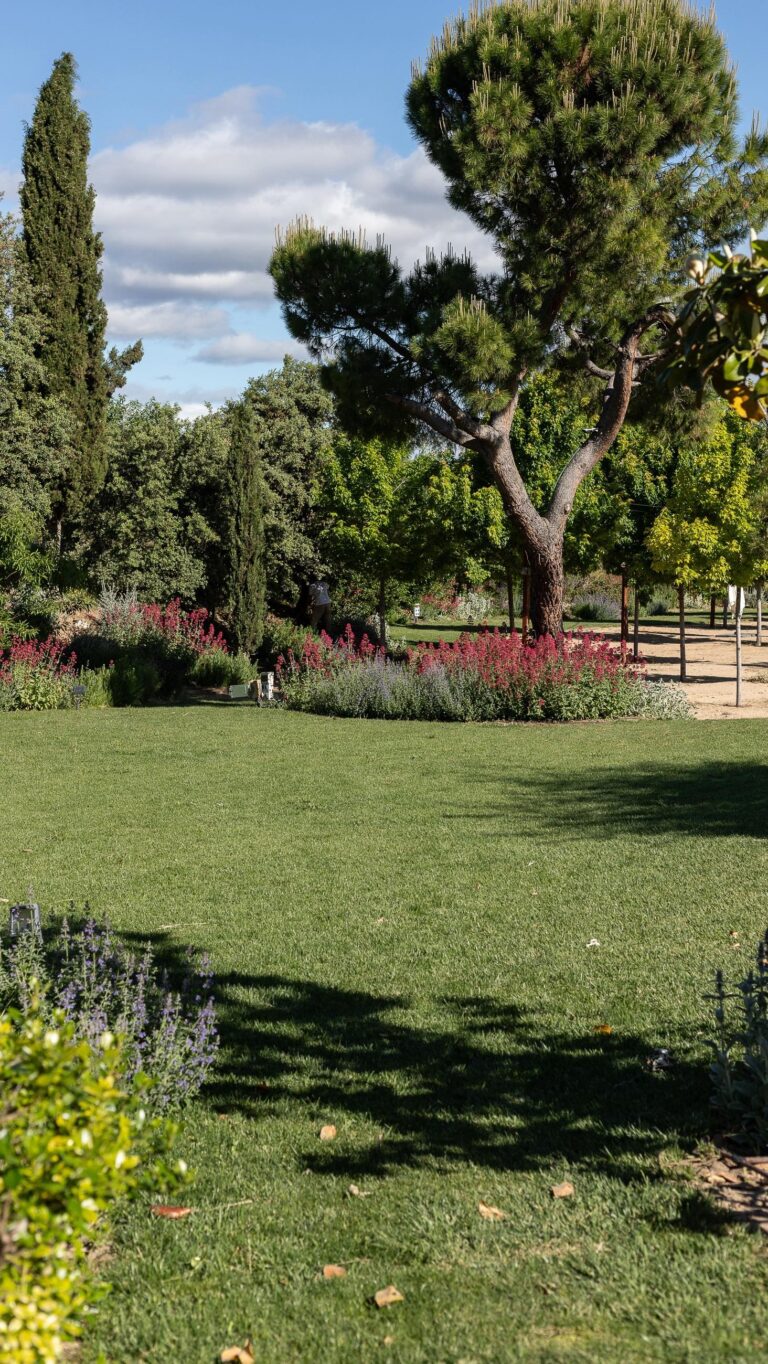 Nuestros jardines de Finca Astilbe son un oasis a pocos minutos de Madrid. Un lugar perfecto para organizar cualquier evento. 

#eneldocatering #fincaastilbebyeneldo #lasallebyeneldo #grupoeneldo #venues #eventos2025 #eventossociales #eventocorporativo #eventosmadrid #venuesmadrid #venues #eventosexclusivos #cateringmadrid #gastronomiaespañola #bodas #lifestyle #beautyandlifestyle #placetobe