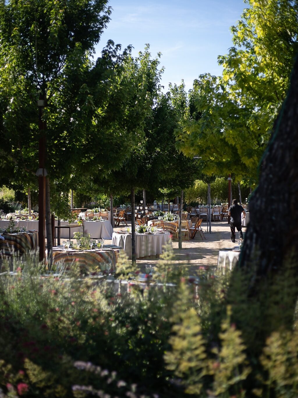 Así de espectaculares quedan las bodas en los jardines de Finca Astilbe. Un oasis cerca de Madrid donde celebrar rodeado de naturaleza. Elige entre nuestro menaje y mantelería para combinar con los colores del entorno. 

#eneldocatering #fincaastilbebyeneldo #lasallebyeneldo #grupoeneldo #venues #eventos2025 #eventossociales #eventocorporativo #eventosmadrid #venuesmadrid #venues #eventosexclusivos #cateringmadrid #gastronomiaespañola #bodas #lifestyle #beautyandlifestyle #placetobe