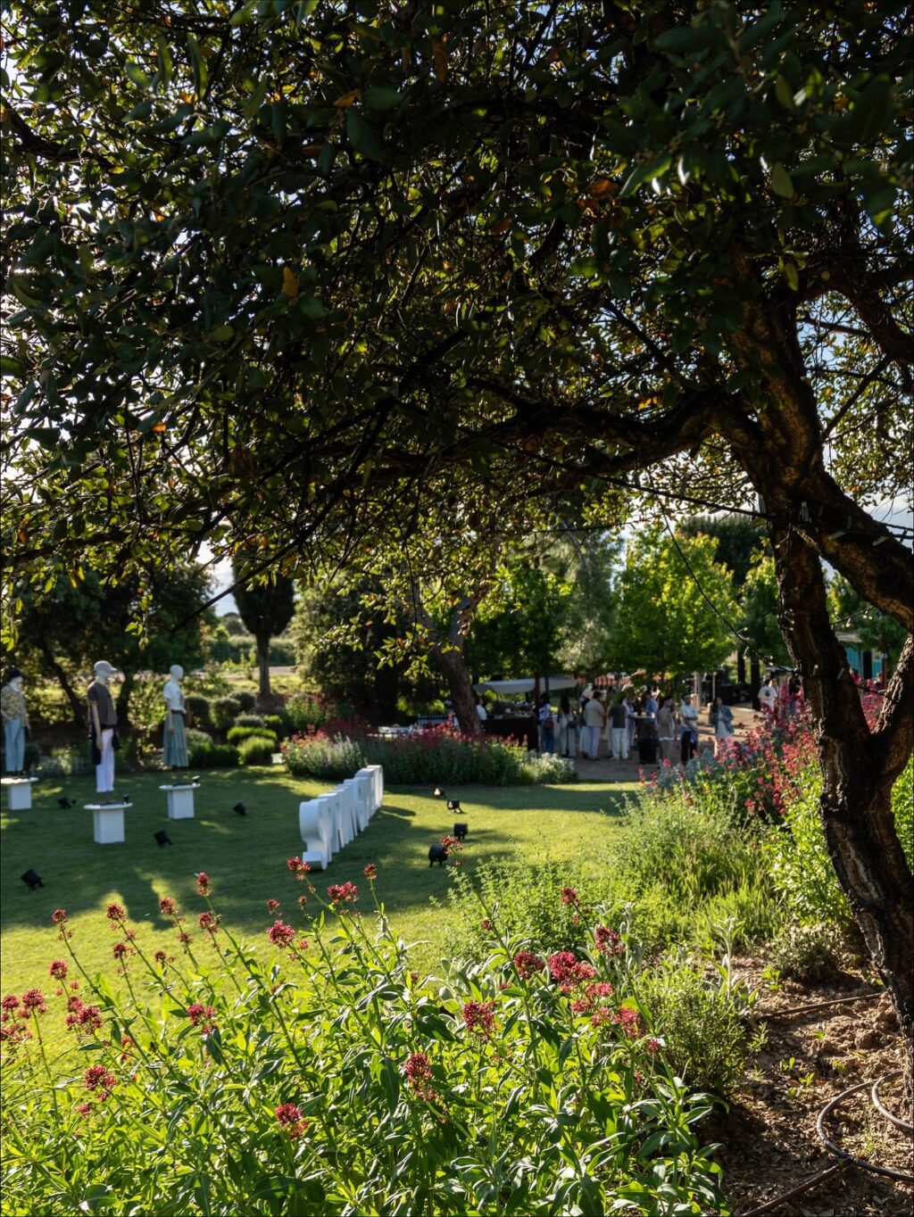 Espectacular como quedó el evento de @springfieldofficial en Finca Astilbe! Porque nuestra finca es el lugar perfecto para cualquier evento corporativo! Nuestras fantásticas instalaciones de cómoda accesibilidad con gran capacidad y flexibilidad, nuestro know-how de más de 45 años de experiencia y nuestro inmejorable equipo hacen de Finca Astilbe un referente en el sector. Reserva ya para organizar tu evento de Navidad y te garantizamos que será todo un éxito. 

#eneldocatering #fincaastilbebyeneldo #lasallebyeneldo #grupoeneldo #venues #eventos2025 #eventossociales #eventocorporativo #eventosmadrid #venuesmadrid #venues #eventosexclusivos #cateringmadrid #gastronomiaespañola #bodas #lifestyle #beautyandlifestyle #placetobe